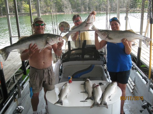 Nice Striped Bass